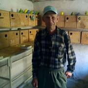  ,   , 68 ,   ,   