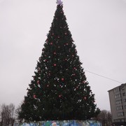 ���������� ������, ���� ������� ���������, 28 ���, ������������ ��� ������, ����� � ���������, c�������� ���������