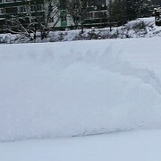 ���������� ������, ���� ������� ����, 37 ���, ������������ ��� ����� � ���������, c�������� ���������, ���������