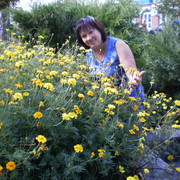 ���������� ��������, ���� ������� ����, 67 ���, ������������ ��� ������, ����� � ���������, c�������� ���������