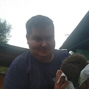 ���������� �����-���������, ���� ������� �������, 38 ���, ������������ ��� ������, ����� � ���������, c�������� ���������, ���������