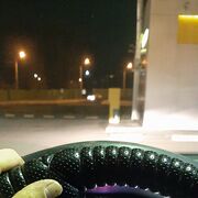 ���������� �����, ���� ������� ����, 27 ���, ������������ ��� ������, ����� � ���������, ���������