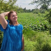 ���������� ���������, ������� �������, 50