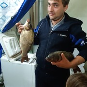 ���������� �����������, ���� ������� �����, 35 ���, ������������ ��� ������, ����� � ���������, c�������� ���������, ���������