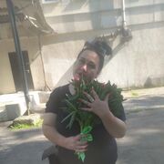 ���������� ����������, ���� ������� �������, 43 ����, ������������ ��� ������