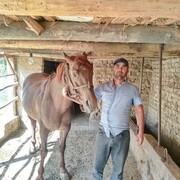 ���������� �������, ���� ������� ���, 40 ���, ������������ ��� ������, ����� � ���������, c�������� ���������