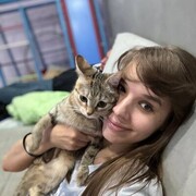 ���������� ���, ���