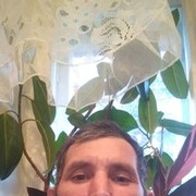  ,  , 44