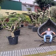 ���������� ������������, ���� ������� �������, 40 ���, ������������ ��� ������, ����� � ���������, c�������� ���������