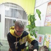  ,   , 51 ,   ,   