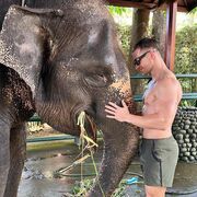 ���������� �����, ���� ������� ����, 36 ���, ������������ ��� ������, ����� � ���������, c�������� ���������, ���������