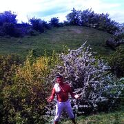  ,   , 35 ,   ,   