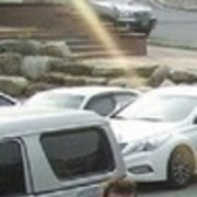 ���������� �����, ���� ������� ������, 33 ����, ������������ ��� ������, ����� � ���������, c�������� ���������