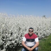 ���������� ��������, ���� ������� ������, 50 ���, ������������ ��� ������, ����� � ���������