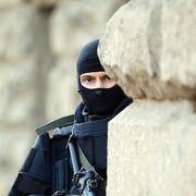 ���������� ������������, ���� ������� ���������, 44 ����, ������������ ��� ������, ����� � ���������