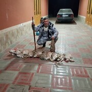  ,   Hushbaht, 38 ,   ,   , c , 