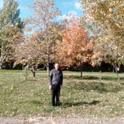  ,    , 50 ,   ,   