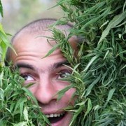 ���������� �����-���������, ���� ������� �����, 40 ���, ������������ ��� ������, ����� � ���������, c�������� ���������, ���������