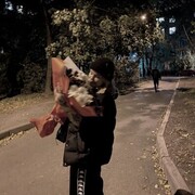 ���������� �����-���������, ���� ������� ���������, 20 ���, ������������ 