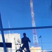 ���������� ������, ���� ������� �������, 39 ���, ������������ ��� ������, ����� � ���������, c�������� ���������, ���������