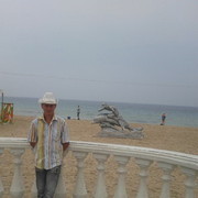  ,   Volant, 38 ,   , 