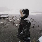 ���������� ������, ���� ������� Harry, 36 ���, ������������ ��� ������, ����� � ���������