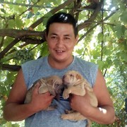 ���������� �������, ���� ������� ��������, 46 ���, ������������ ��� ������, ����� � ���������, c�������� ���������, ���������