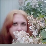 ���������� ����������, ���� ������� ����, 38 ���, ������������ ��� c�������� ���������