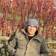  ,   , 58 ,   ,   