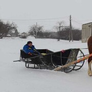 ���������� ������������, ���� ������� Viktor, 53 ����, ������������ ��� ������, ����� � ���������
