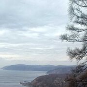 ���������� �������, ���� ������� ����, 40 ���, ������������ ��� ������, ����� � ���������