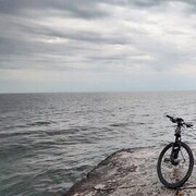 ���������� ������, ���� ������� ��������, 34 ����, ������������ ��� ������, ����� � ���������, c�������� ���������