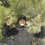 ���������� ���������, ���� ������� �����, 38 ���, ������������ ��� ������, ����� � ���������, c�������� ���������