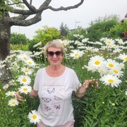 ���������� �����, ���� ������� �������, 56 ���, ������������ ��� ������, ����� � ���������, c�������� ���������