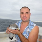 ���������� ���������, ���� ������� �������, 45 ���, ������������ ��� ������, ����� � ���������, c�������� ���������