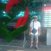  ,   , 37 ,   ,   