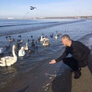  ,   , 50 ,   ,   , c 