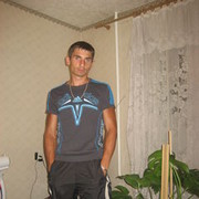 ,   Electrokot, 40 ,     , c 