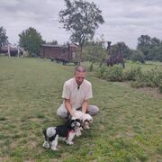  ,   , 51 ,     , c , 