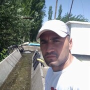  ,   Alisher, 37 ,   ,   , c , 