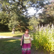  ,   , 58 ,  