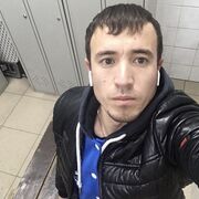 ���������� �����-���������, ���� ������� Sardor, 32 ����, ������������ ��� ������, ����� � ���������