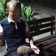 ���������� ����, ���� ������� ���������, 34 ����, ������������ ��� ������, ����� � ���������