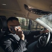 ���������� ������, ���� ������� ��������, 43 ����, ������������ ��� ������, ����� � ���������, c�������� ���������