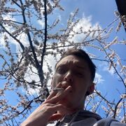  ,   , 29 ,   ,   
