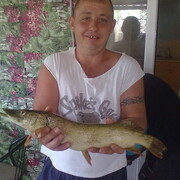  ,   , 44 ,   c , 