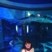 ���������� �����-���������, ���� ������� ���, 36 ���, ������������ ��� ������, ����� � ���������, c�������� ���������