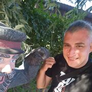 ���������� ��������, ���� ������� �����, 38 ���, ������������ ��� ������, ���������