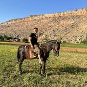 ���������� �����������, ���� ������� ��������, 29 ���, ������������ ��� ������, ����� � ���������