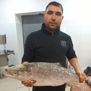  ,  , 31